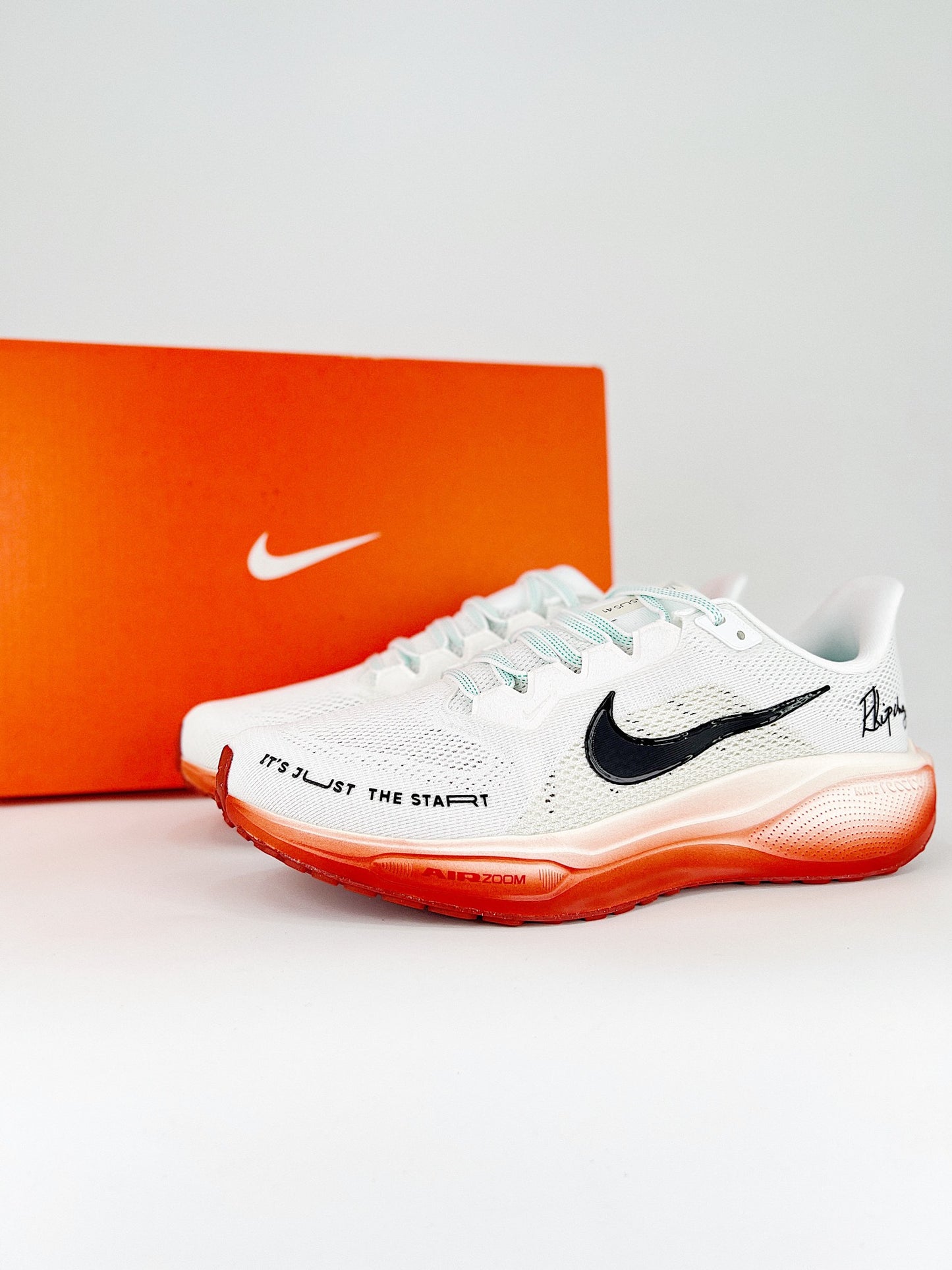 Tênis Nike Pegasus 41