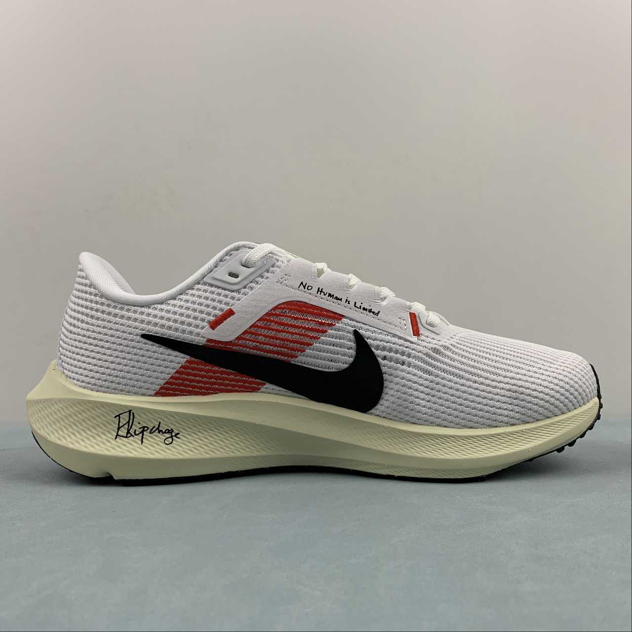 Tênis Nike Pegasus 40