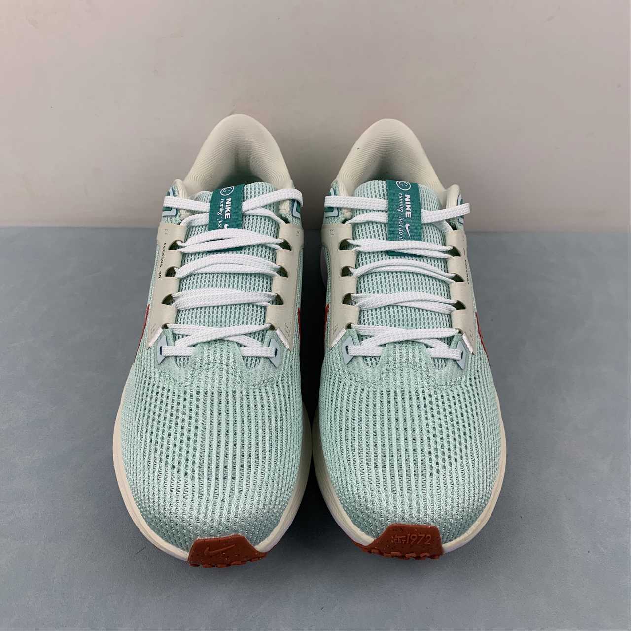 Tênis Nike Pegasus 40