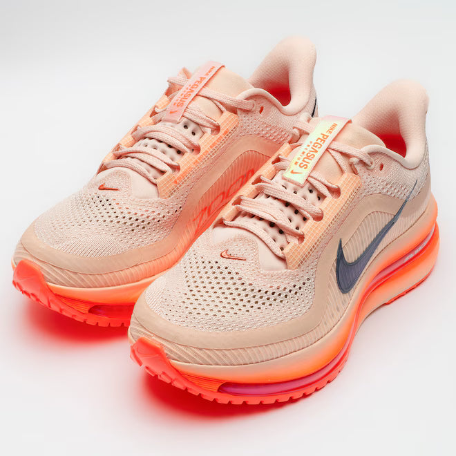 Tênis Nike Pegasus Premium