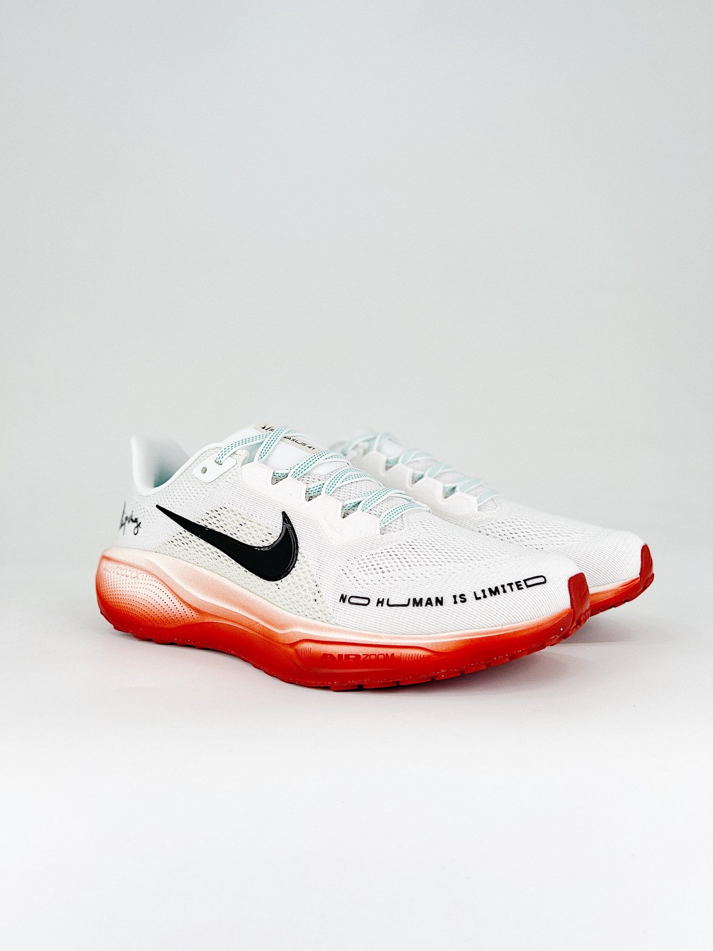 Tênis Nike Pegasus 41