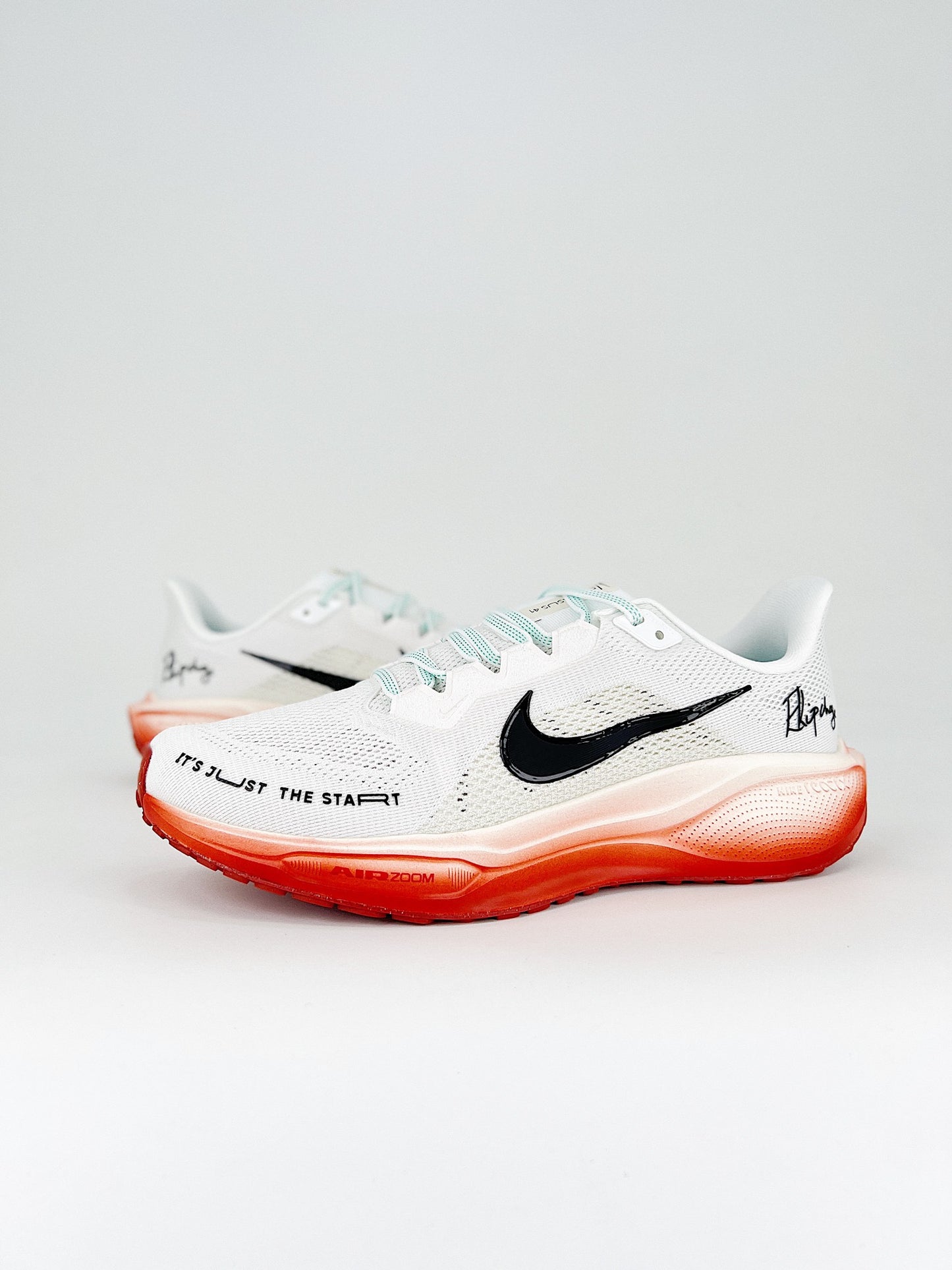Tênis Nike Pegasus 41