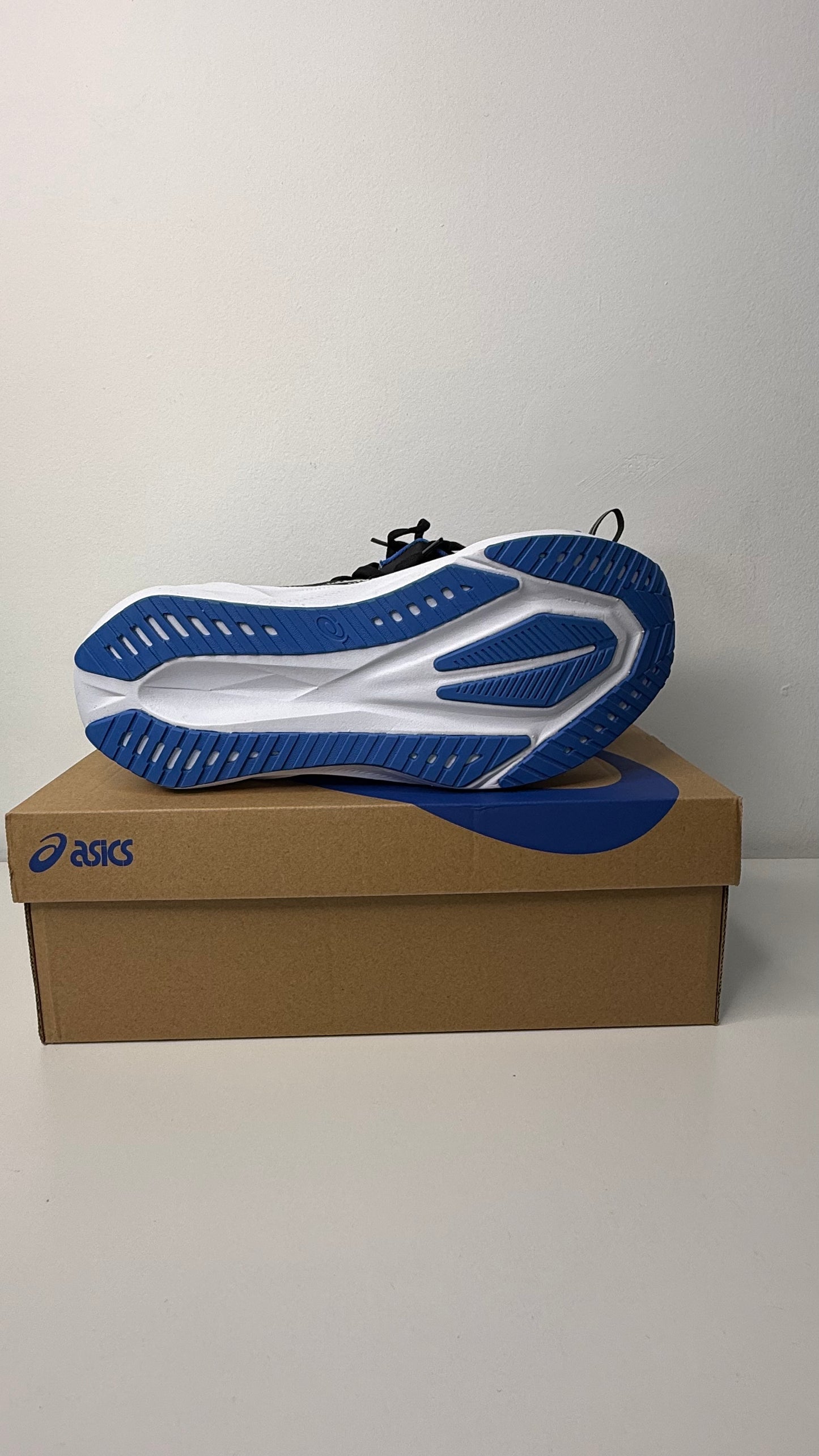 Tênis Asics Novablast 5 - PRONTA ENTREGA