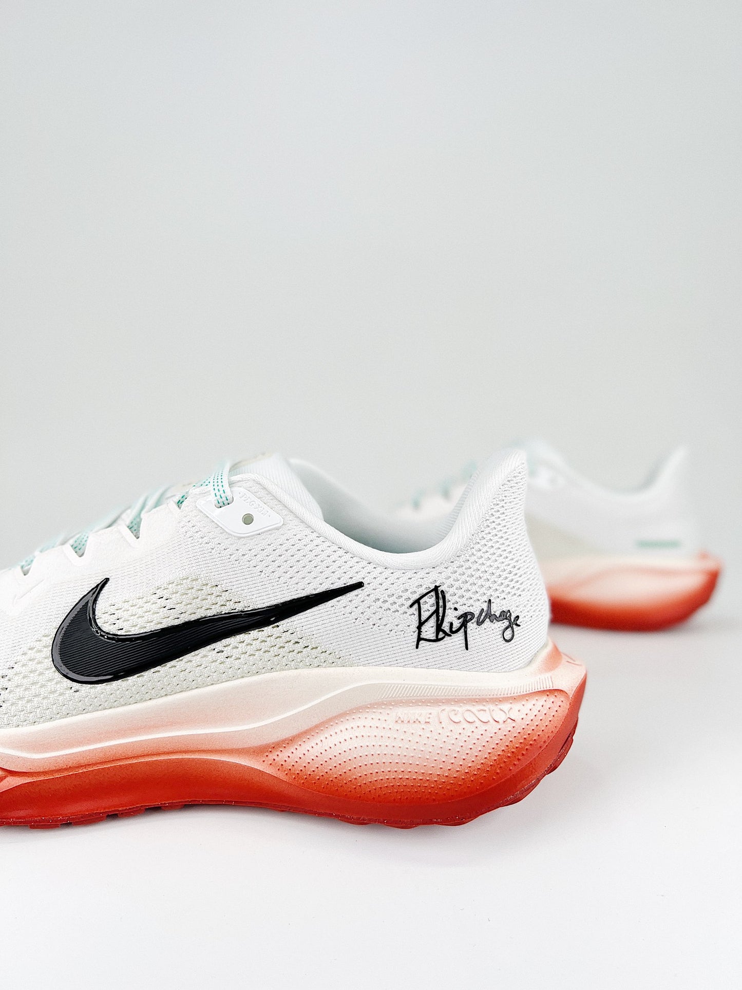 Tênis Nike Pegasus 41