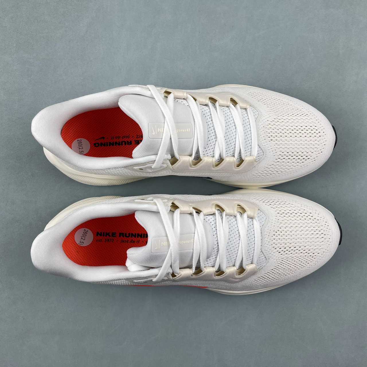 Tênis Nike Pegasus 41