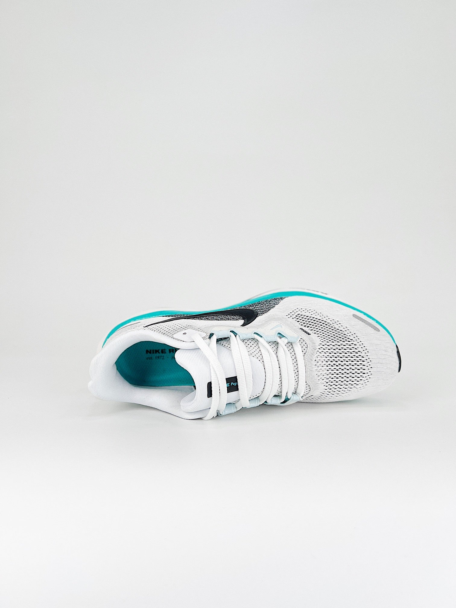 Tênis Nike Pegasus 41