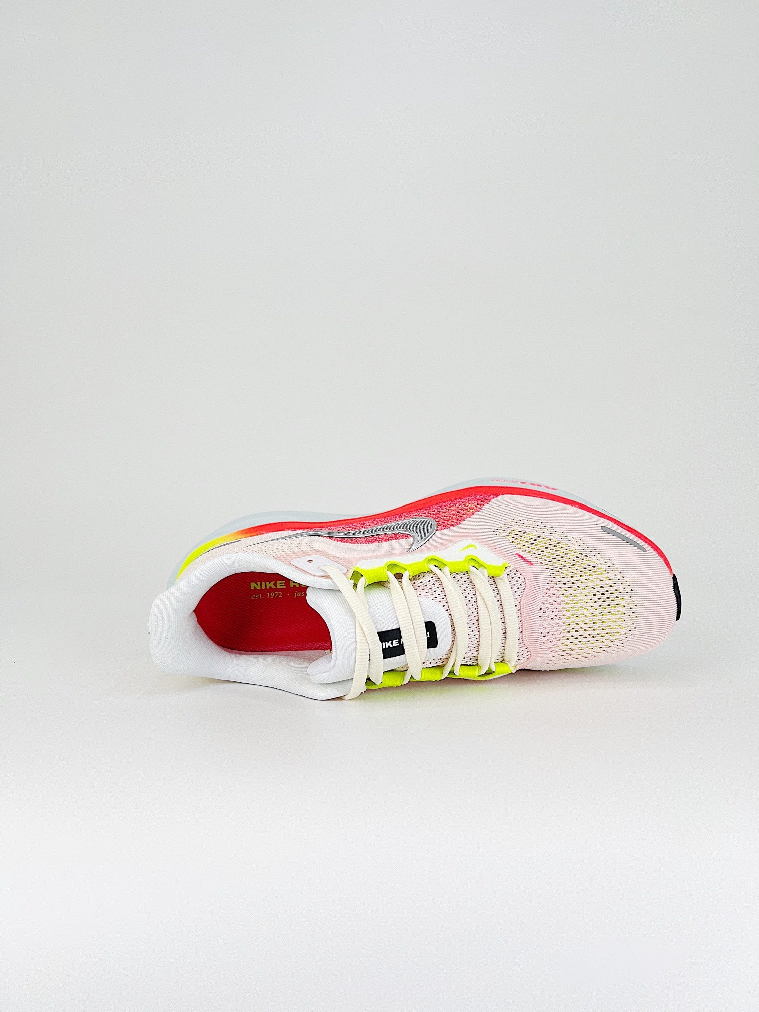 Tênis Nike Pegasus 41