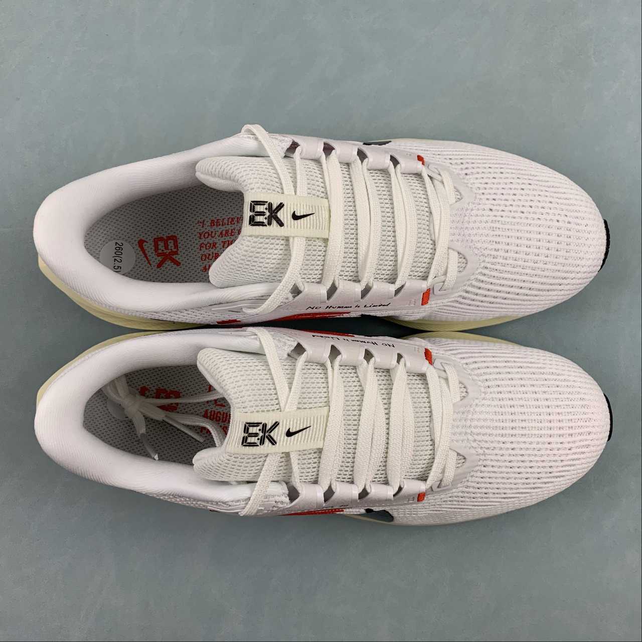 Tênis Nike Pegasus 40