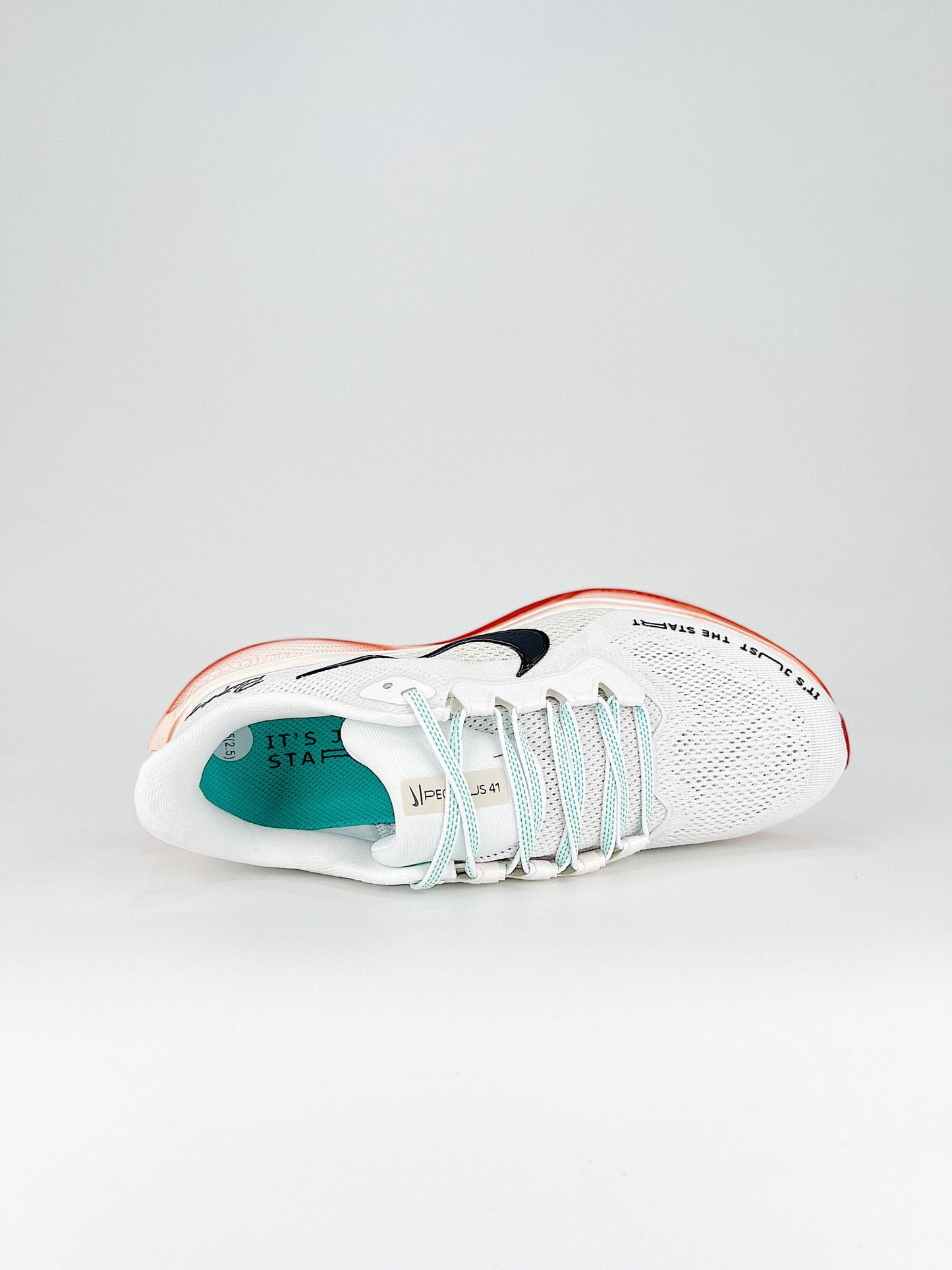 Tênis Nike Pegasus 41