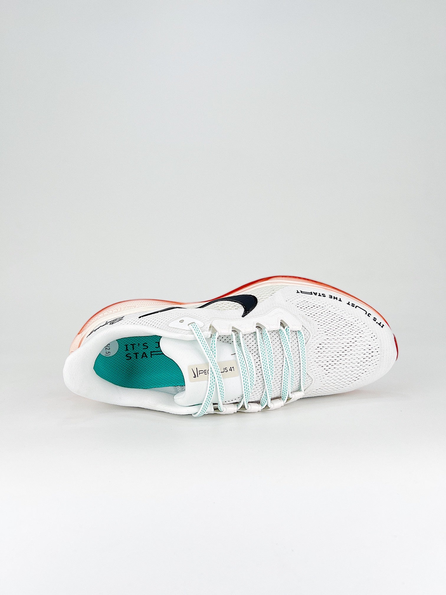 Tênis Nike Pegasus 41