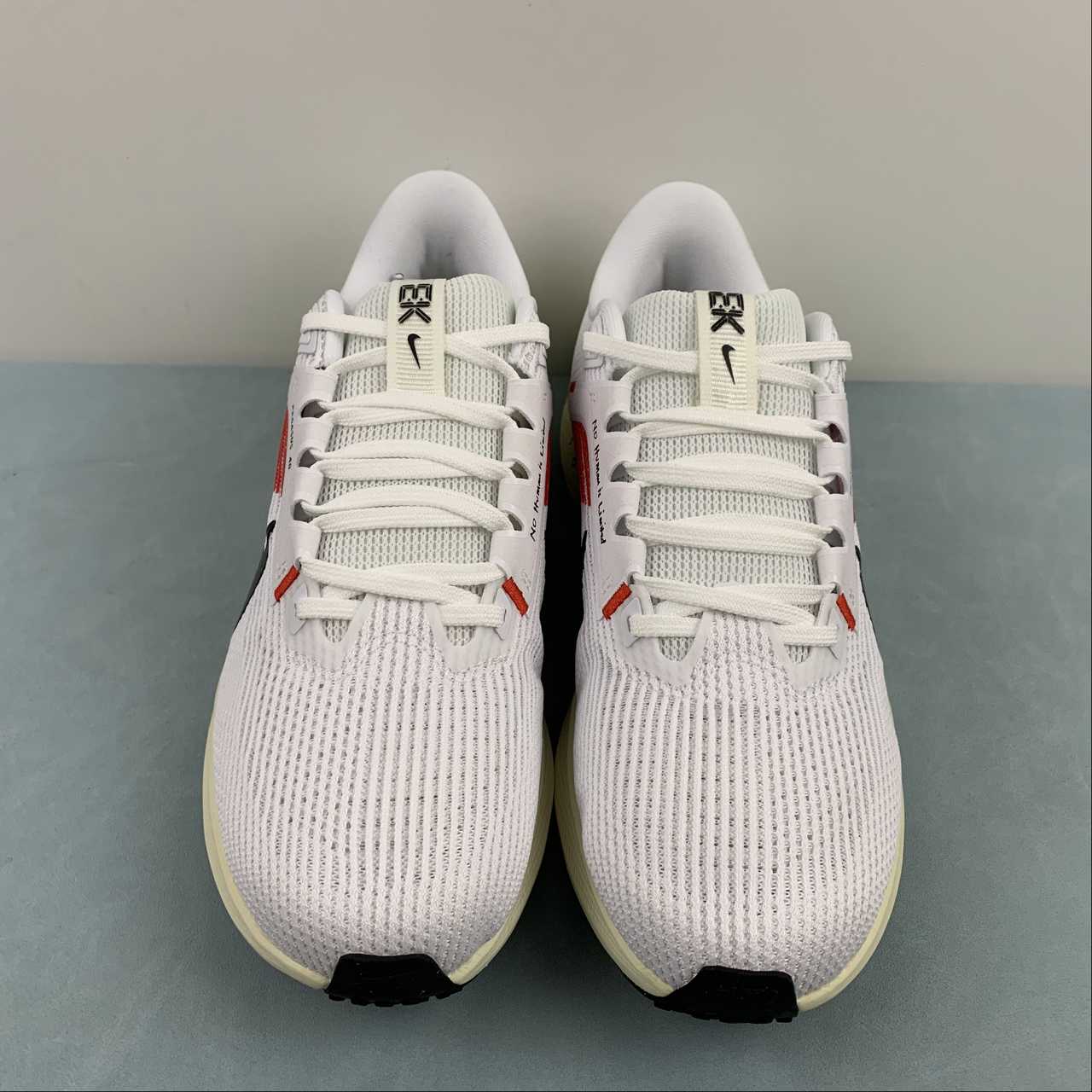 Tênis Nike Pegasus 40