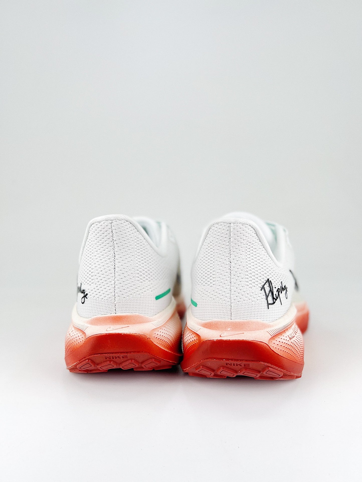 Tênis Nike Pegasus 41