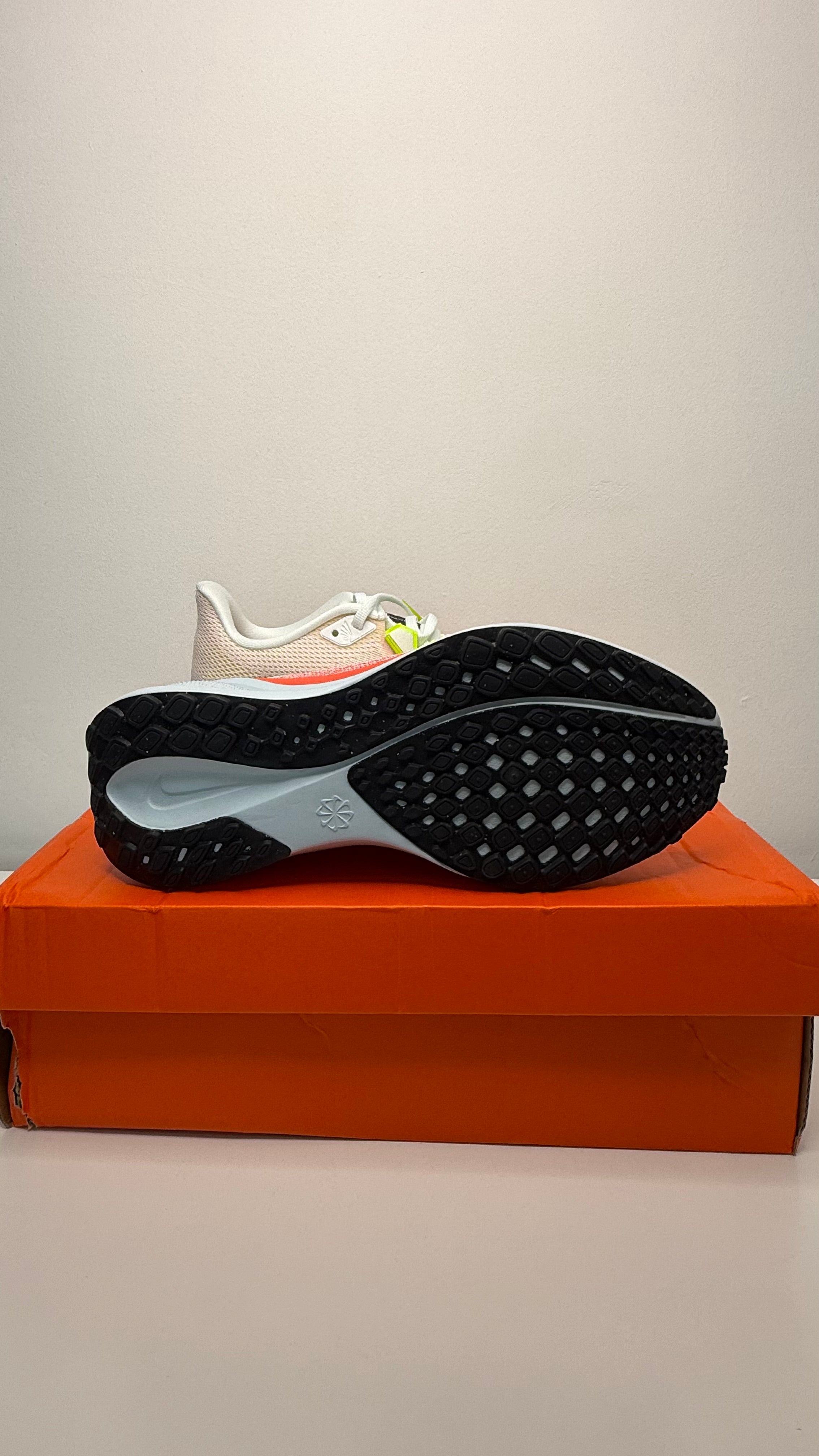 Nike Pegasus 41 - PRONTA ENTREGA