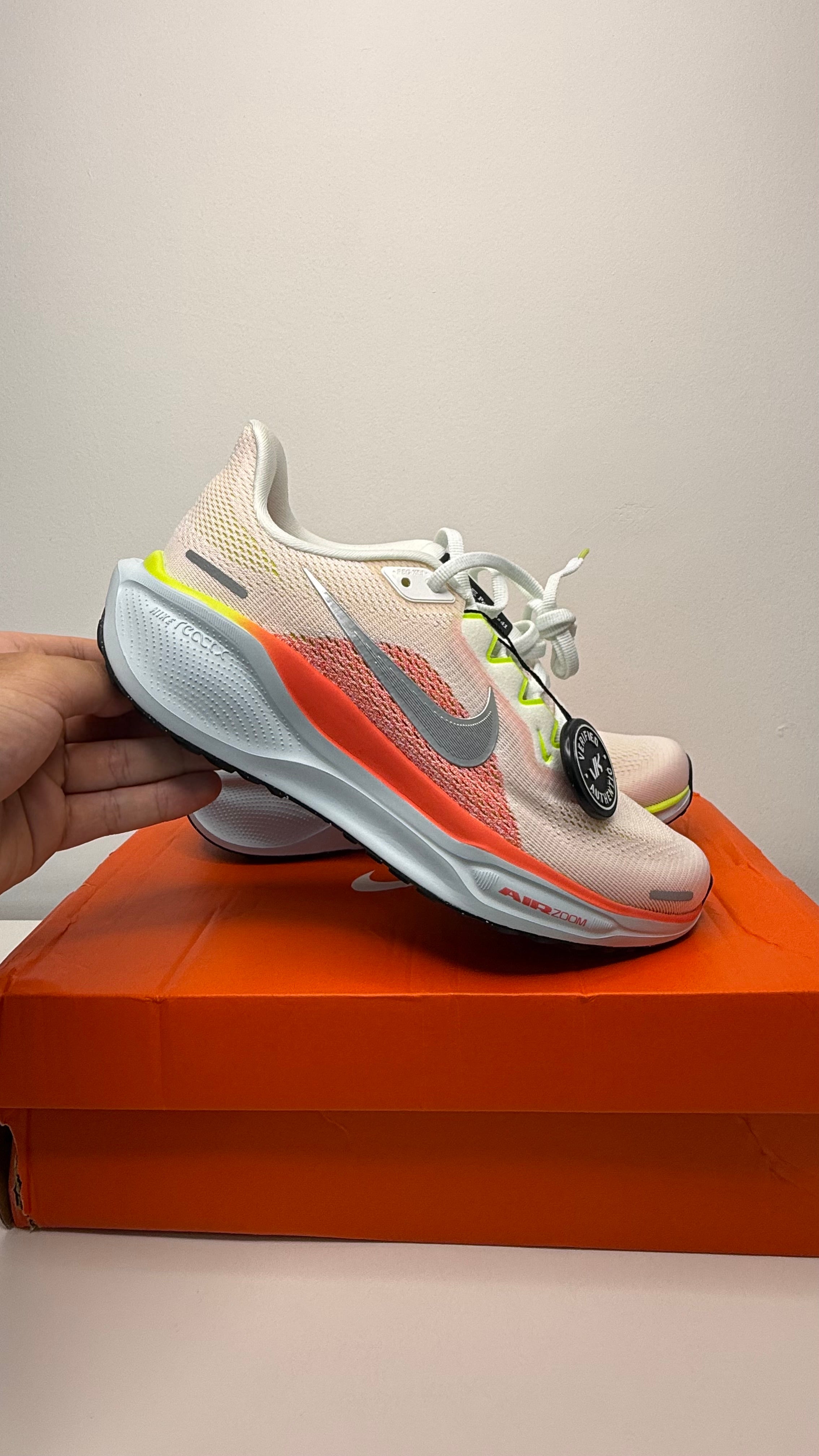 Nike Pegasus 41 - PRONTA ENTREGA