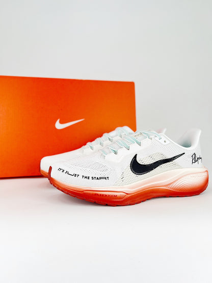 Tênis Nike Pegasus 41