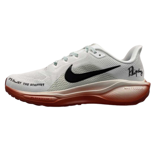 Tênis Nike Pegasus 41