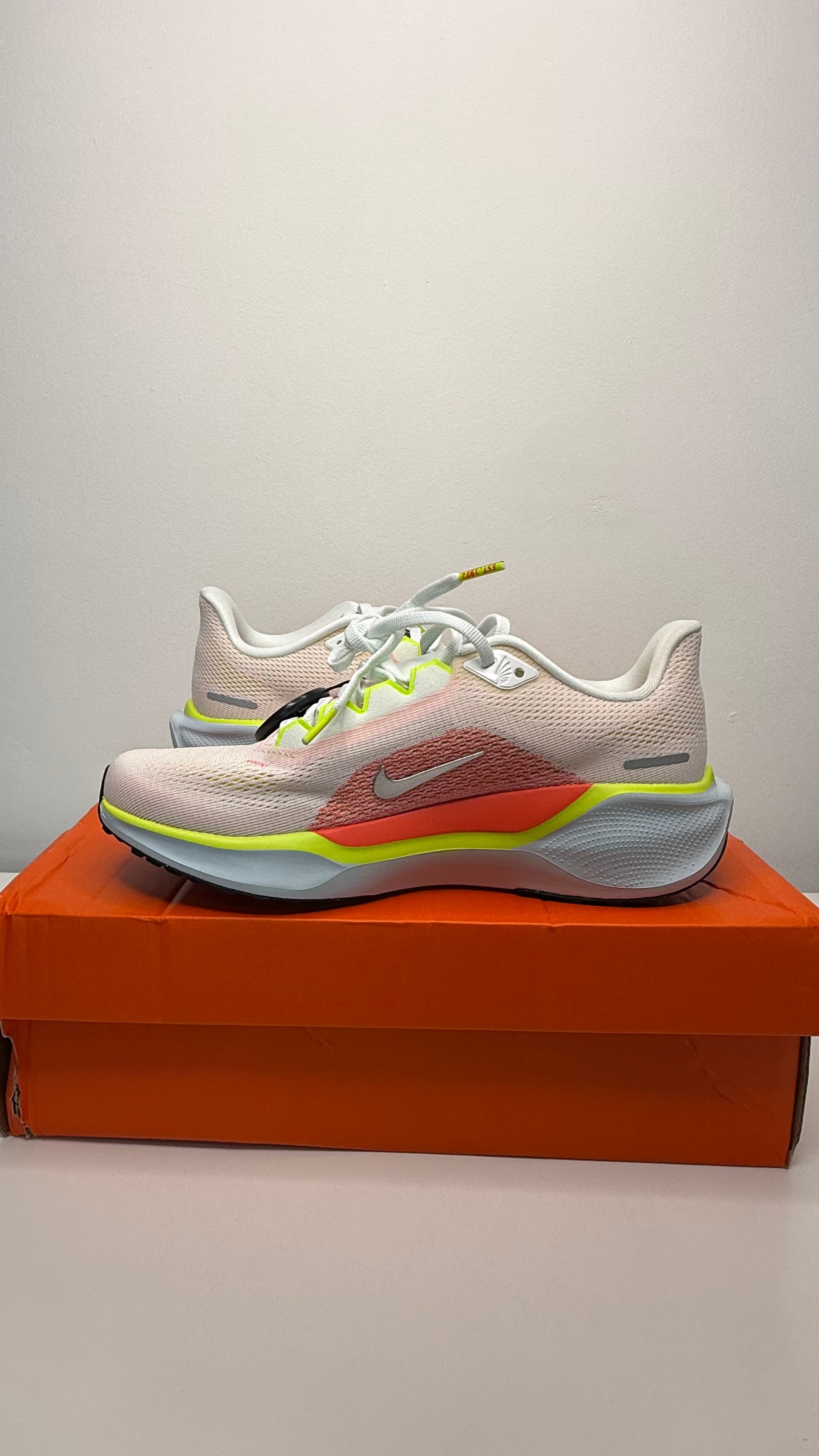 Nike Pegasus 41 - PRONTA ENTREGA