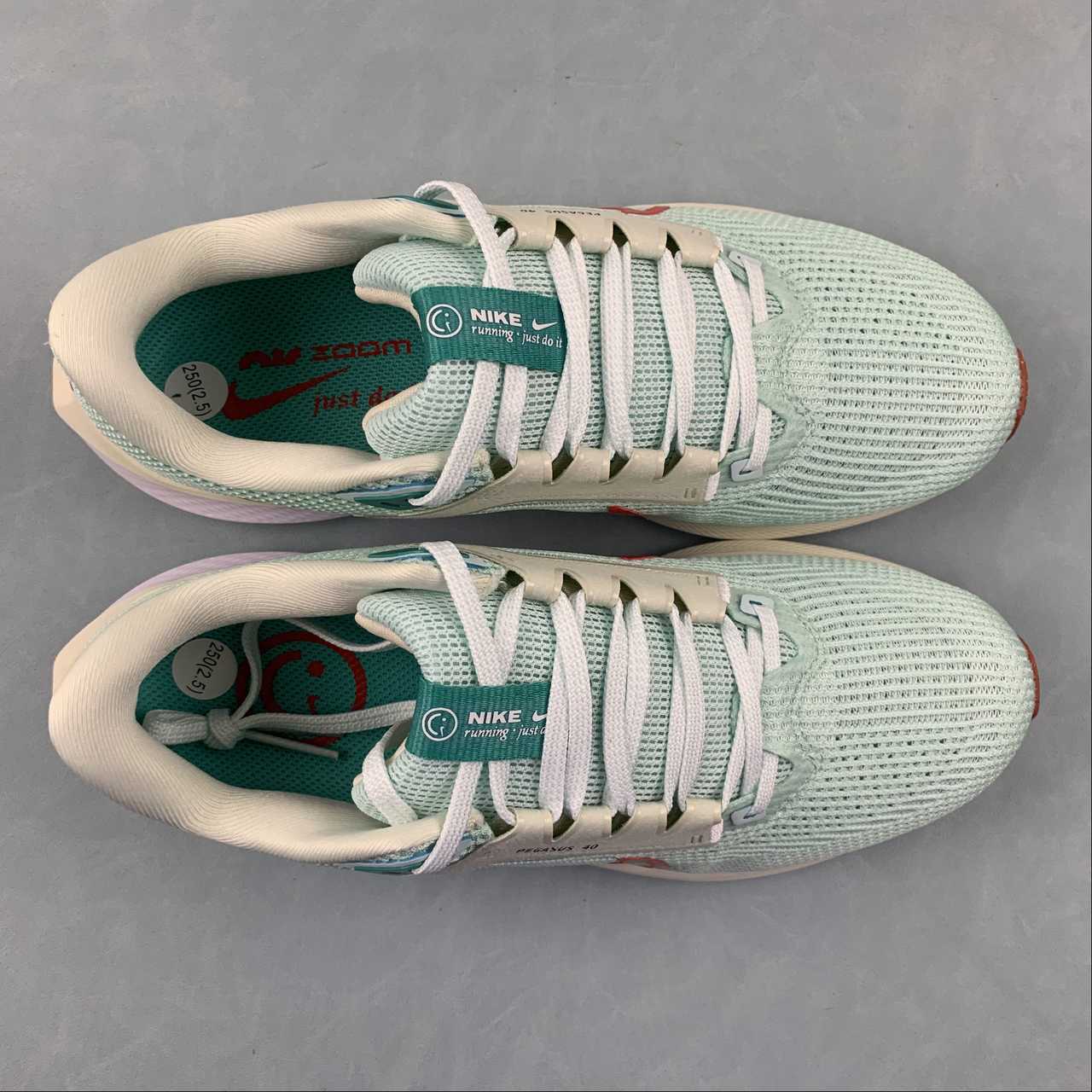 Tênis Nike Pegasus 40