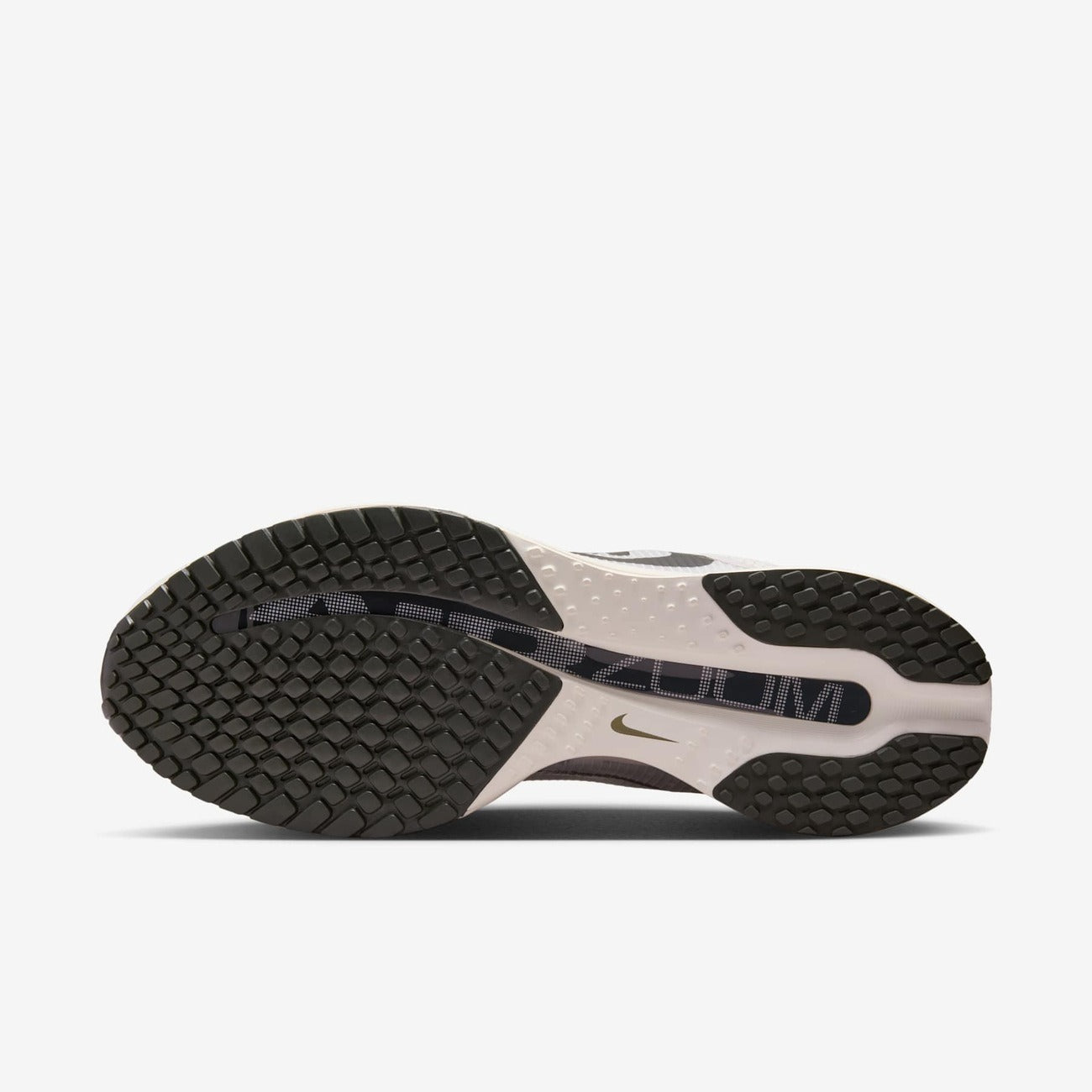 Tênis Nike Pegasus Premium